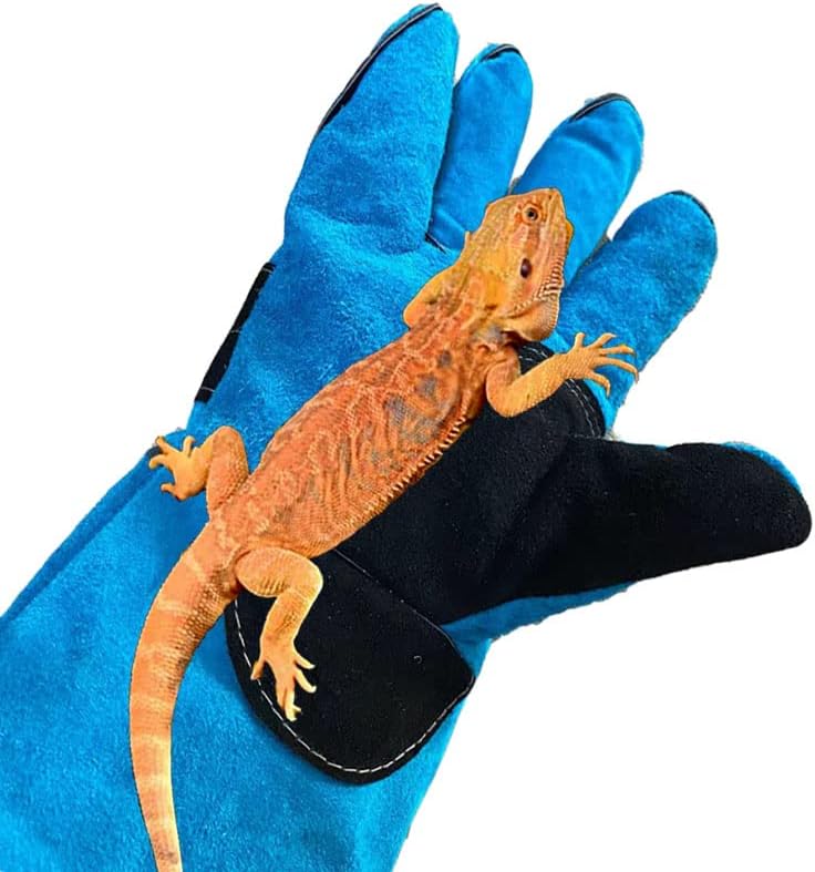 Animal Handing Gloves Bite Proof 23.7 Inch Kevlar Reinforced Multipurpose Pet Leather Glove Padding Dog,Cat Scratch,Bird Handling Falcon Gloves Grabbing,Reptile Squirrel Snake Bite