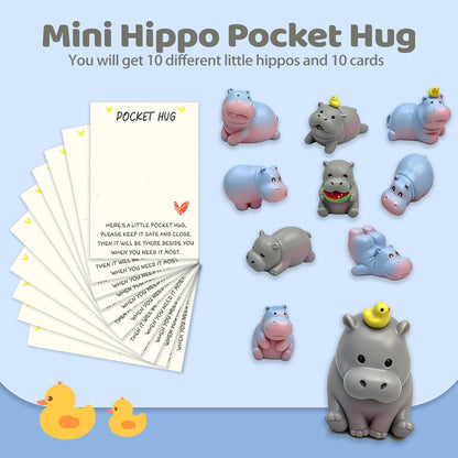 VoyaBliss 10 Sets Pocket Hug Card Encouragement Cards and Motivational Gifts Stuffers for Coworkers Hippo Decor Mini Resin Hippos Birthday Card